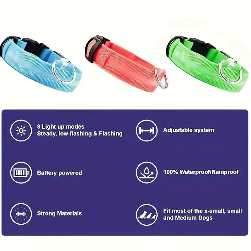 LED Glowing Dog Leash & Collar Set β Nylon, Night Safety for Pets
