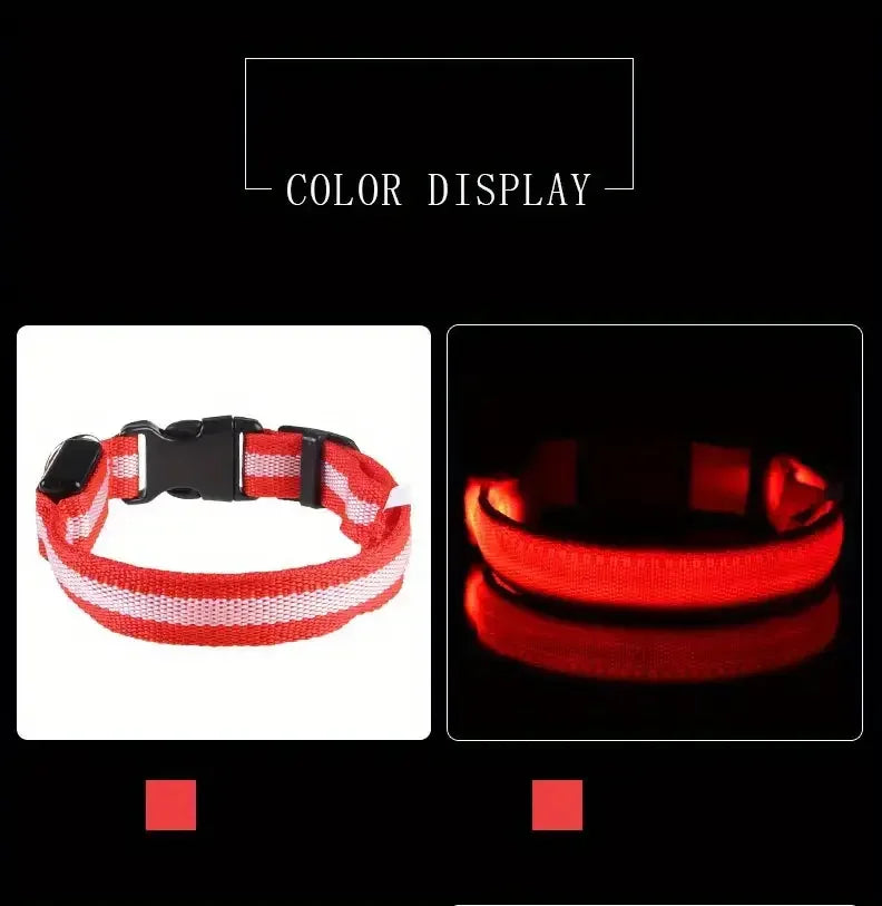 LED Glowing Dog Leash & Collar Set β Nylon, Night Safety for Pets