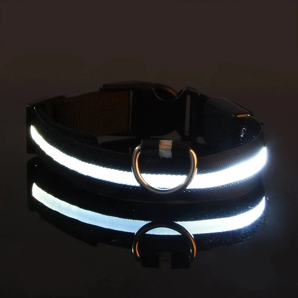 LED Glowing Dog Leash & Collar Set β Nylon, Night Safety for Pets