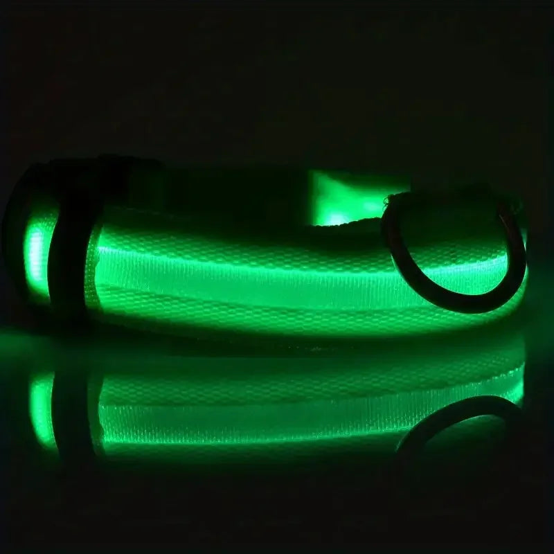 LED Glowing Dog Leash & Collar Set β Nylon, Night Safety for Pets