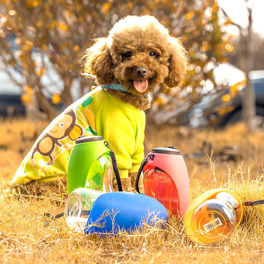 Portable Pet Water Bottle with Bowl – Travel Dispenser for Dogs & Cats