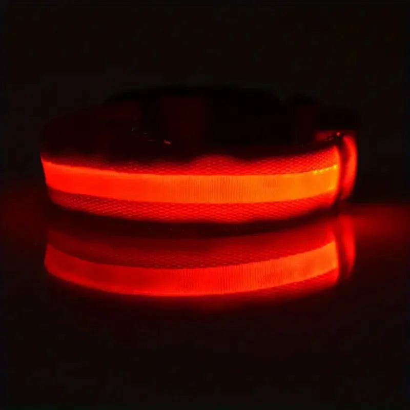 LED Glowing Dog Leash & Collar Set – Nylon, Night Safety for Pets