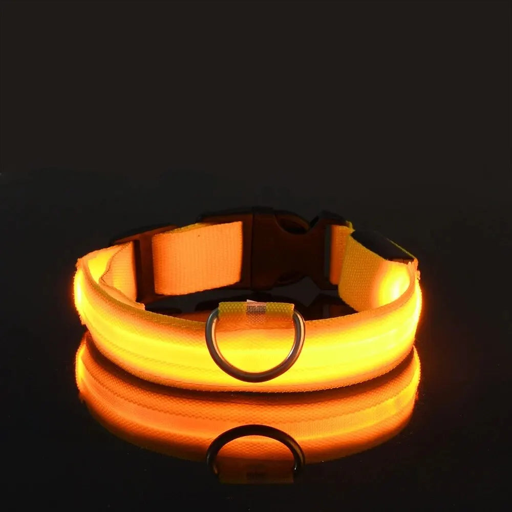 LED Glowing Dog Leash & Collar Set – Nylon, Night Safety for Pets