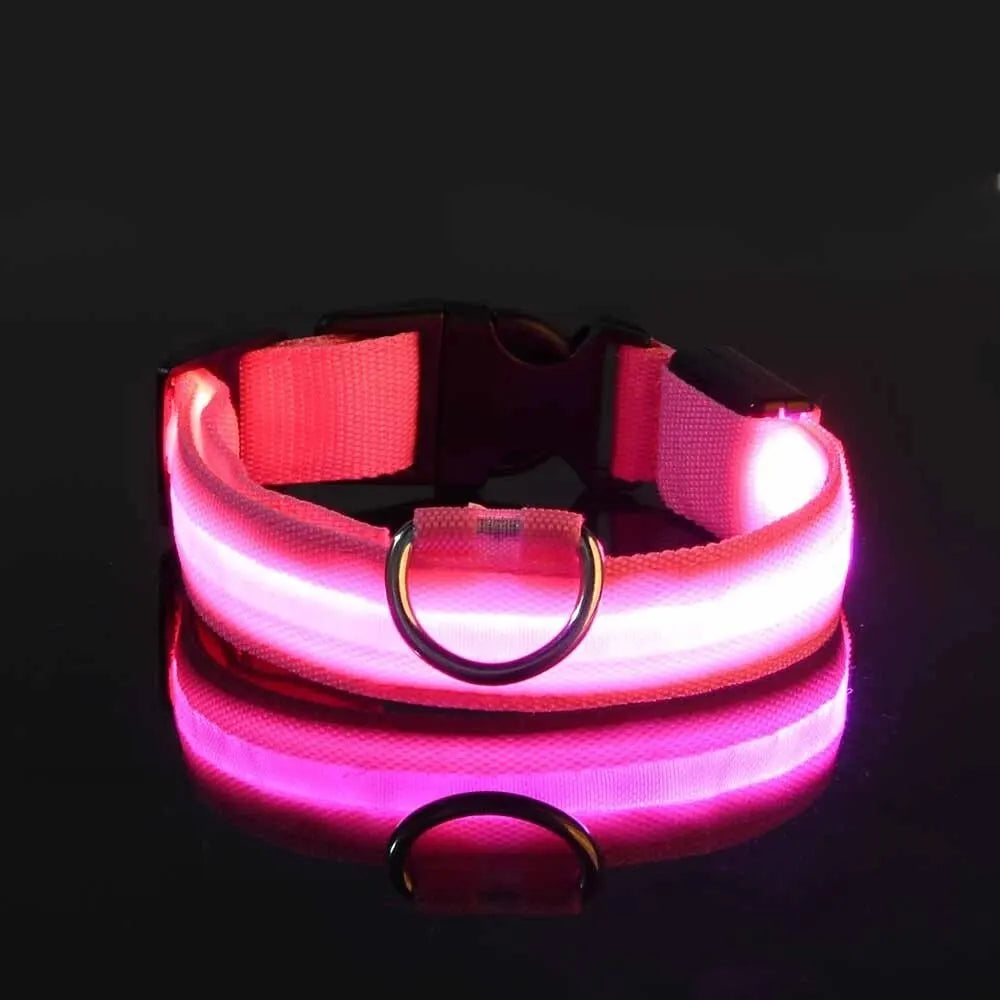 LED Glowing Dog Leash & Collar Set – Nylon, Night Safety for Pets