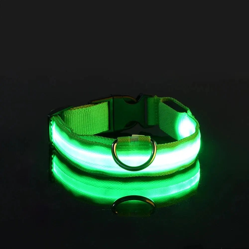 LED Glowing Dog Leash & Collar Set – Nylon, Night Safety for Pets