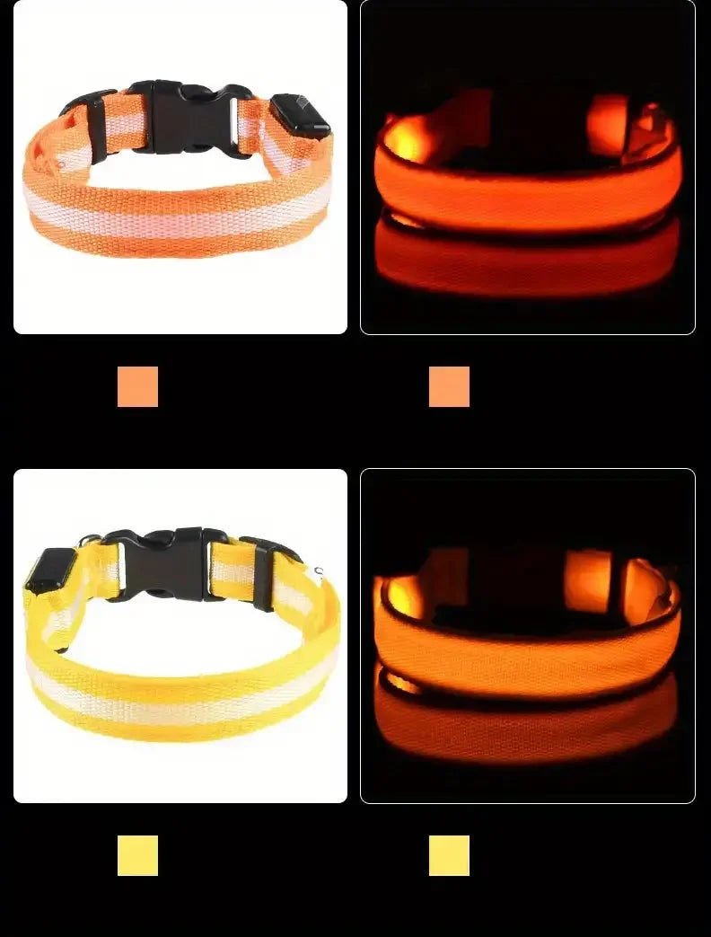 LED Glowing Dog Leash & Collar Set – Nylon, Night Safety for Pets