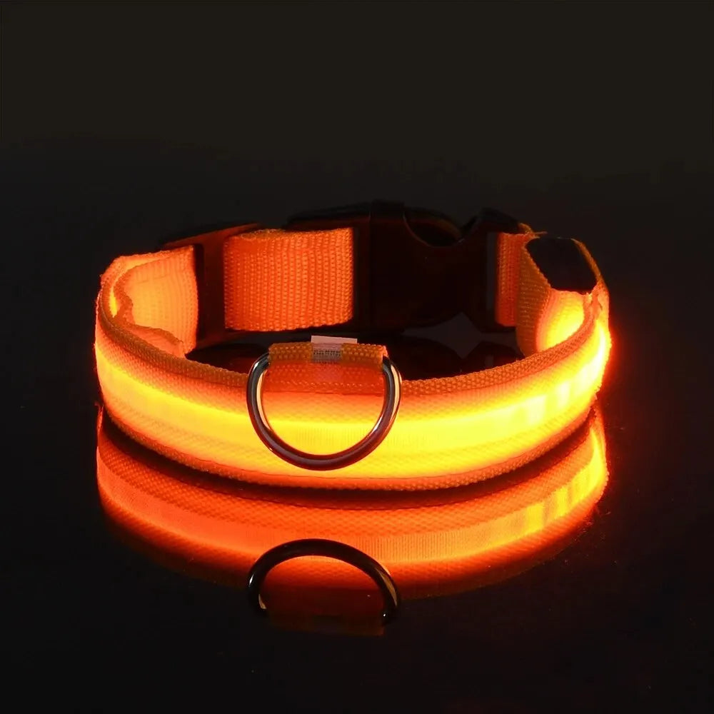 LED Glowing Dog Leash & Collar Set – Nylon, Night Safety for Pets