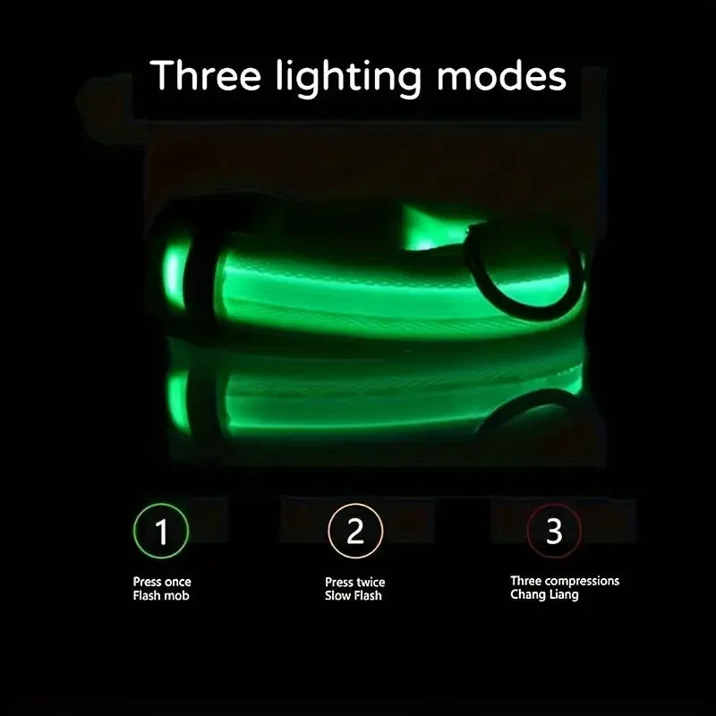 LED Glowing Dog Leash & Collar Set – Nylon, Night Safety for Pets