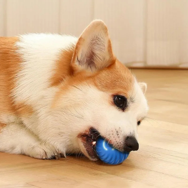 Smart Moving Dog Toy Ball – USB Rechargeable, Jumping & Rotating Interactive Pet Toy