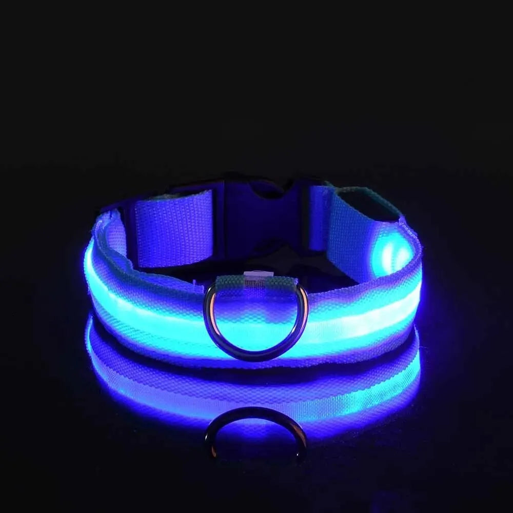 LED Glowing Dog Leash & Collar Set – Nylon, Night Safety for Pets