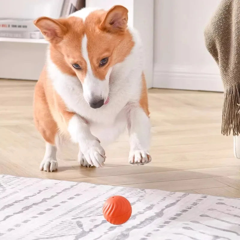 Smart Moving Dog Toy Ball – USB Rechargeable, Jumping & Rotating Interactive Pet Toy