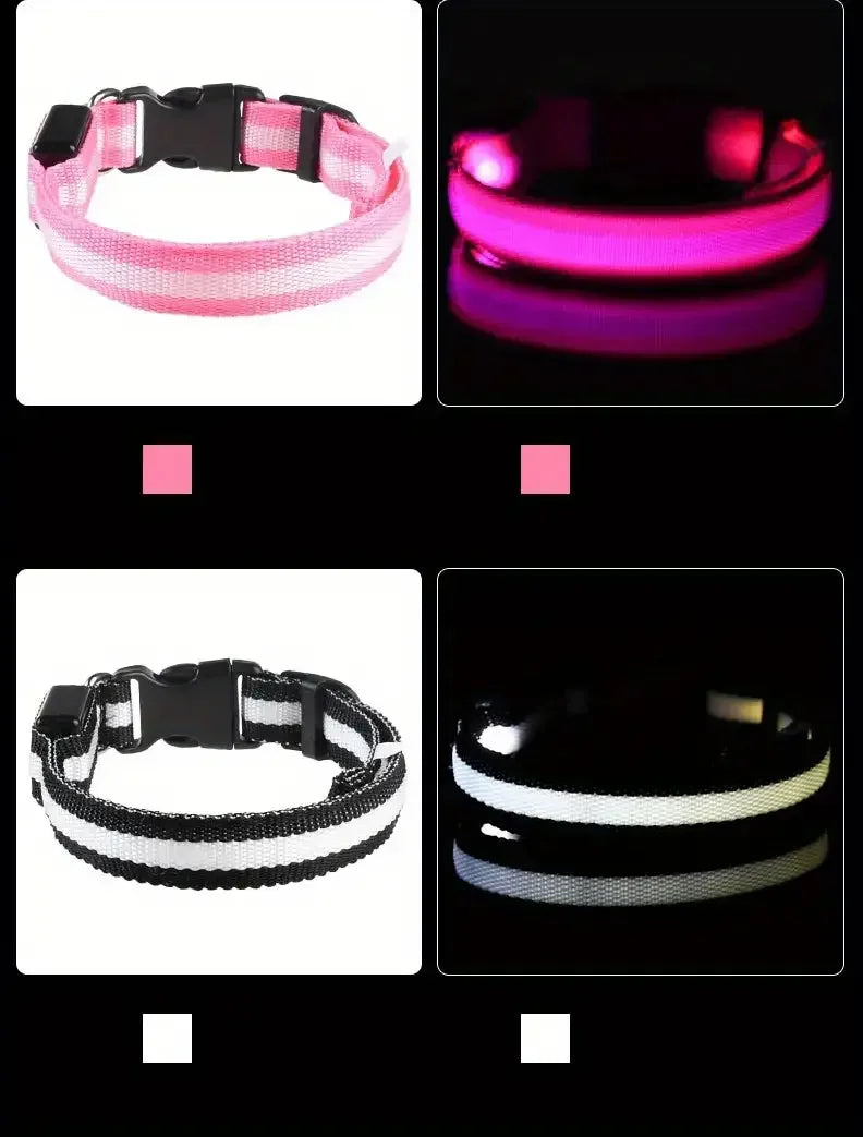 LED Glowing Dog Leash & Collar Set – Nylon, Night Safety for Pets