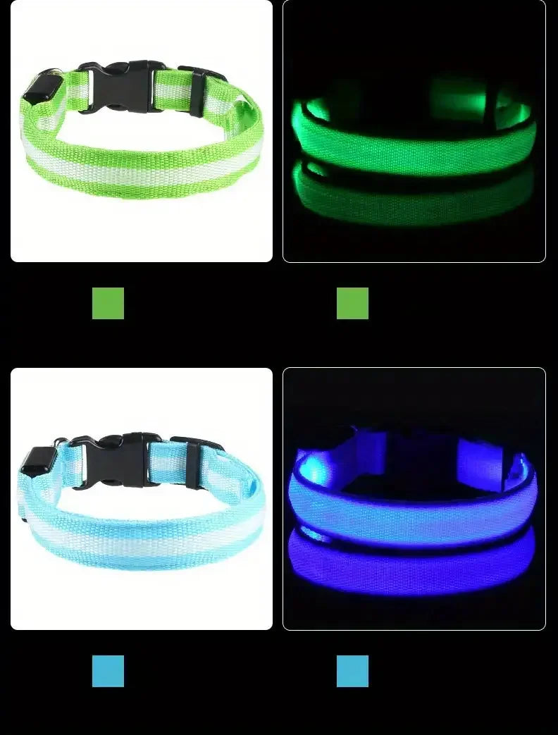 LED Glowing Dog Leash & Collar Set – Nylon, Night Safety for Pets
