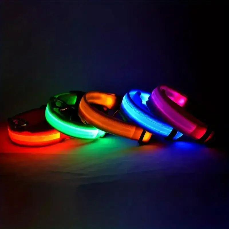 LED Glowing Dog Leash & Collar Set – Nylon, Night Safety for Pets