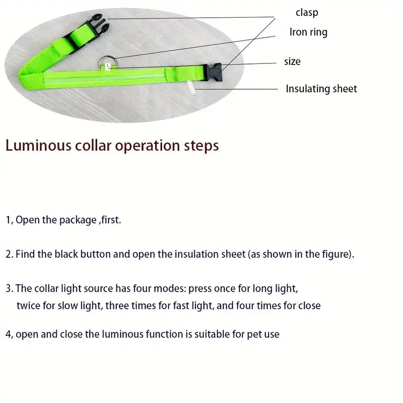 LED Glowing Dog Leash & Collar Set – Nylon, Night Safety for Pets