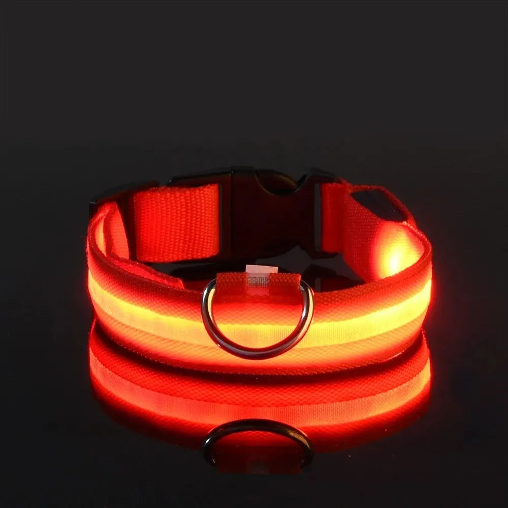 LED Glowing Dog Leash & Collar Set – Nylon, Night Safety for Pets