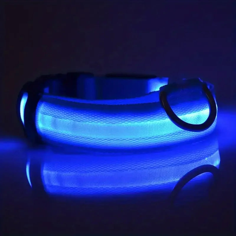 LED Glowing Dog Leash & Collar Set – Nylon, Night Safety for Pets