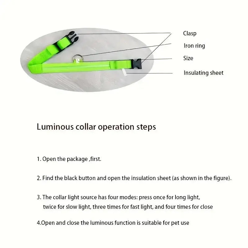 LED Glowing Dog Leash & Collar Set – Nylon, Night Safety for Pets
