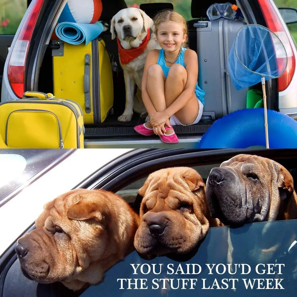Dog & Cat Car Seat Belt Harness – Pet Safety Travel Leash for Cars