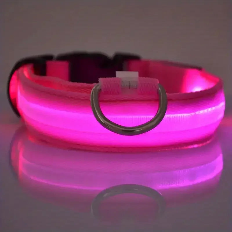 LED Glowing Dog Leash & Collar Set – Nylon, Night Safety for Pets