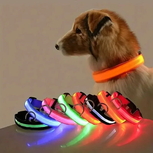 LED Glowing Dog Leash & Collar Set – Nylon, Night Safety for Pets