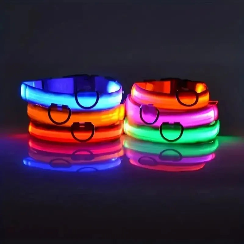 LED Glowing Dog Leash & Collar Set – Nylon, Night Safety for Pets