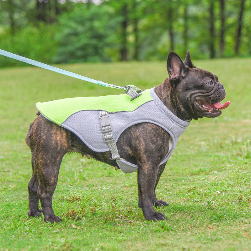 Dog Cooling Vest – Breathable, Heat-Resistant Summer Jacket for Small & Large Dogs